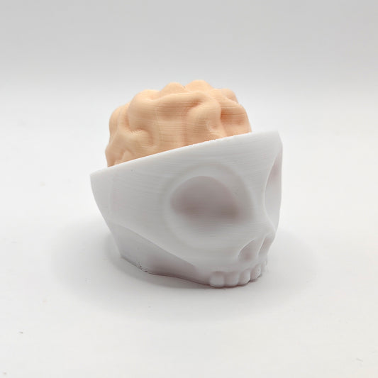 Brain Skull