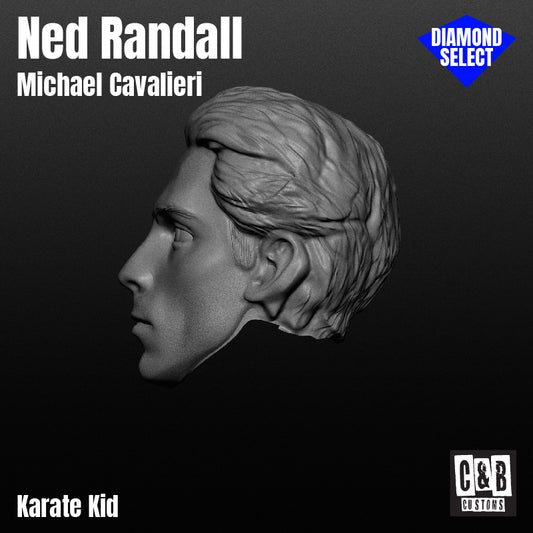 Ned Randall 3D Printed Head Diamond Select