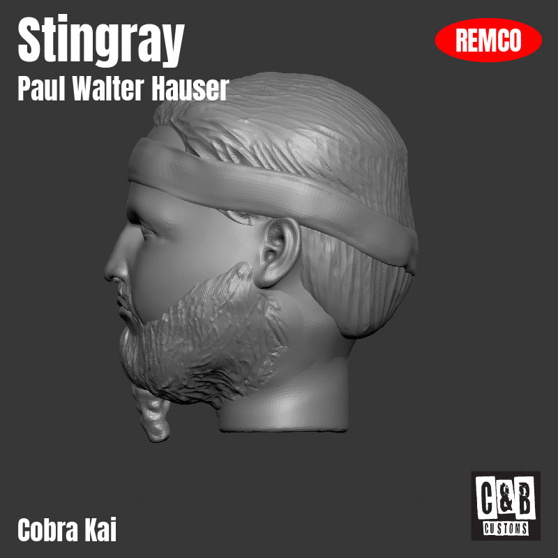 Stingray 3D Printed Head Remco